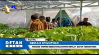 PEMDES TAMTIM MEMASYARAKATKAN MAKAN SAYUR HIDROPONIK